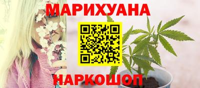 сатива Апшеронск