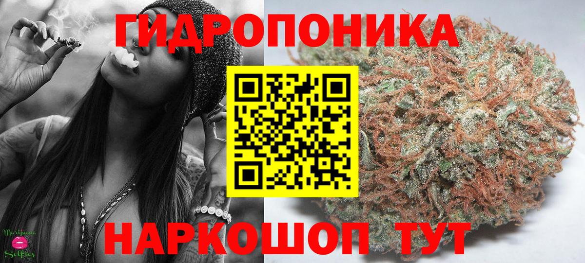 Каннабис планчик  Бошки марихуана индика  Бошки Шишки гибрид  Джанкой 